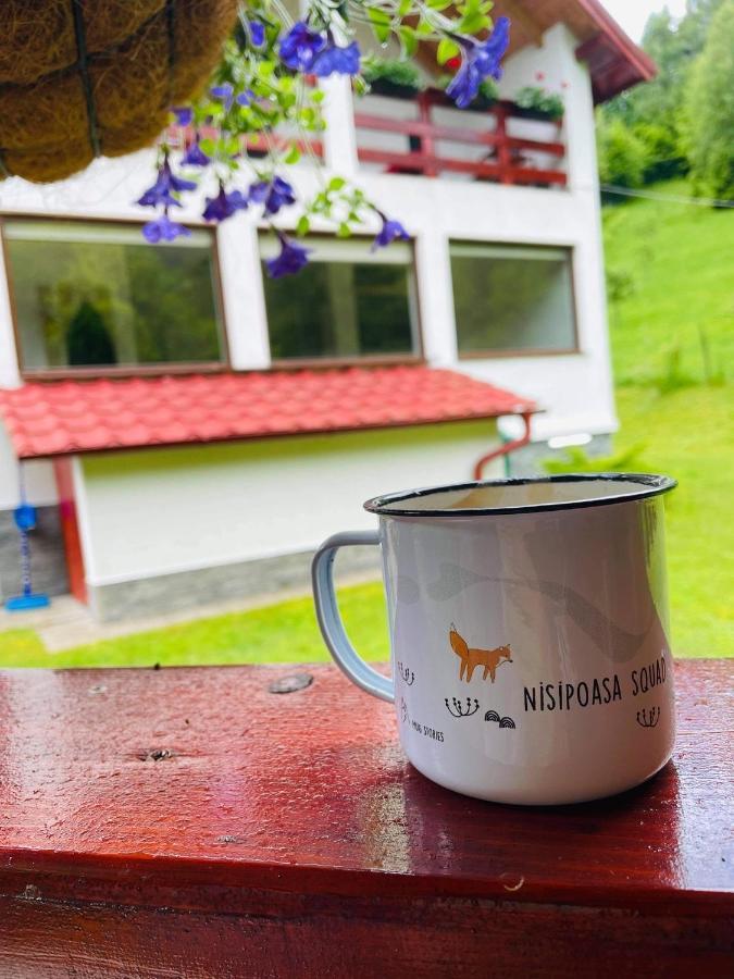 Cabana Nisipoasa Rîu de Mori Dış mekan fotoğraf