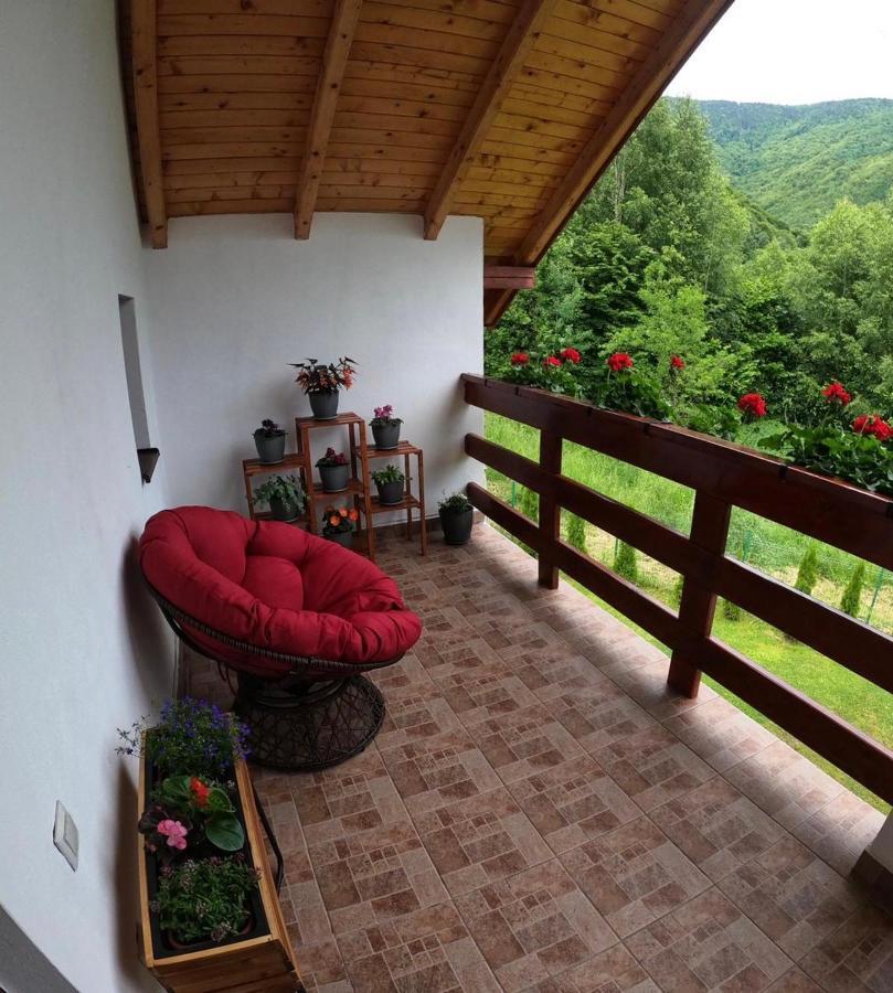 Cabana Nisipoasa Rîu de Mori Dış mekan fotoğraf