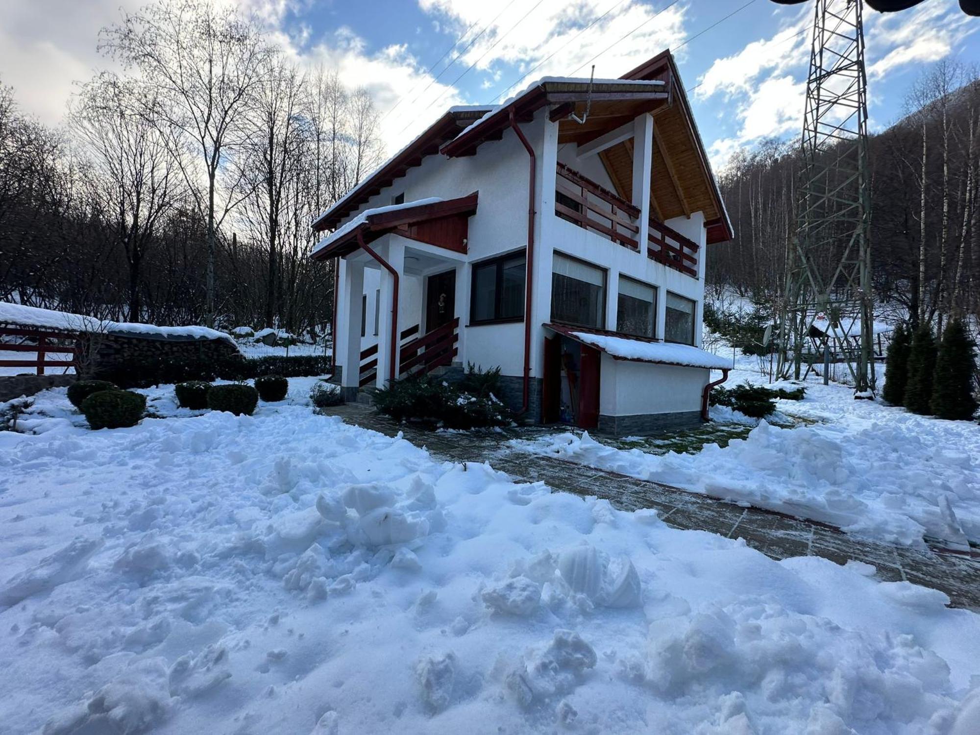 Cabana Nisipoasa Rîu de Mori Dış mekan fotoğraf