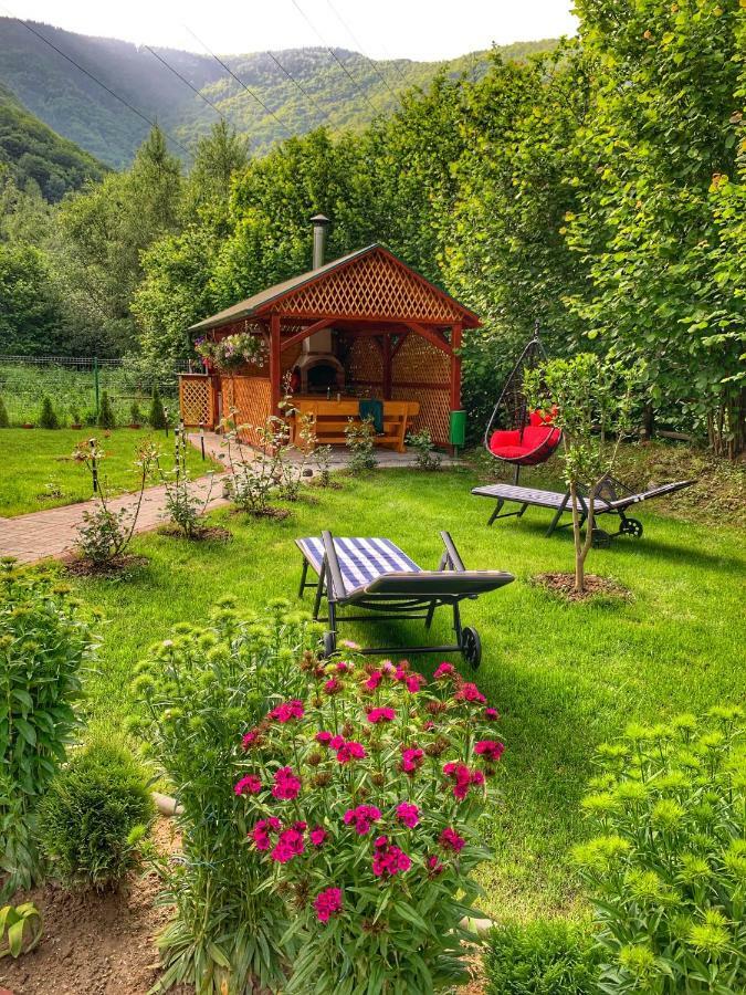 Cabana Nisipoasa Rîu de Mori Dış mekan fotoğraf