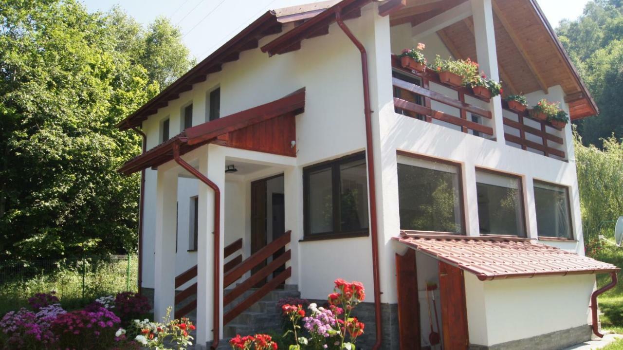 Cabana Nisipoasa Rîu de Mori Dış mekan fotoğraf